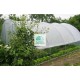 Serre Gothique 4m50 x 12m00, avec aérations