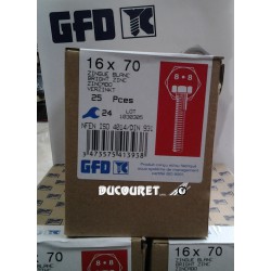 Boite 25 Boulons Diam.16x70 Classe 8-8