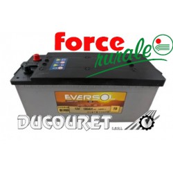 BATTERIE EVERSOL EV-B15G180-AGM DÉCHARGE LENTE AGM 12V 180AH